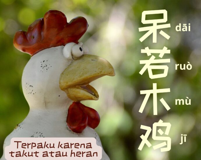 Arti dan Kisah Idiom Tiongkok - Terpaku Karena Takut Atau Heran (呆若木鸡)