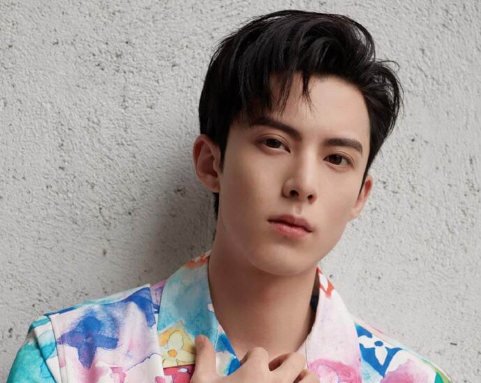 Biodata & Nama Fandom Dylan Wang Hedi 王鹤棣