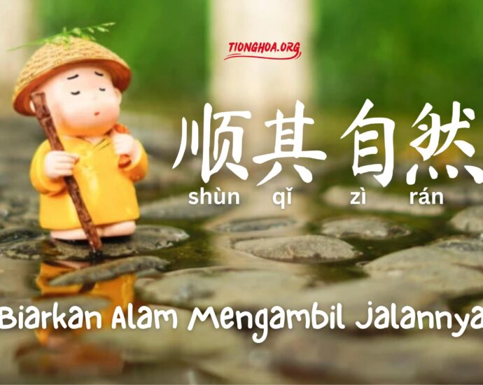 Penggunaan Idiom Tiongkok : Biarkan Alam Mengambil Jalannya (顺其自然) – Dalam Kalimat